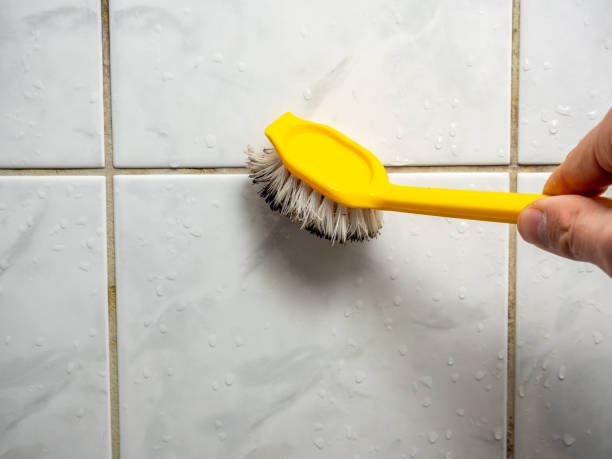 Best Residential Mold Remediation in Berlin, WI
