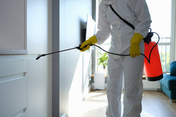 Professional Mold Remediation in Berlin, WI